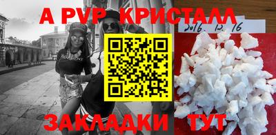 крисы Пенза