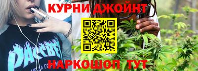 крисы Пенза