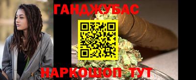 крисы Пенза