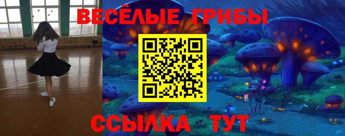 Галлюциногенные грибы прущие грибы Сертолово