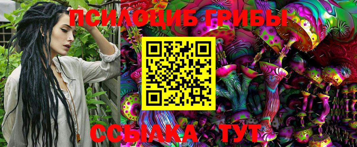 Сертолово  Псилоцибиновые грибы Psilocybine cubensis  Вход с VPN 